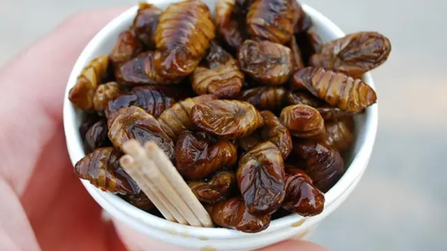 Foto: copyright ozooo.com/wp-content