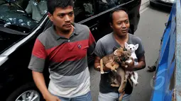 Seorang penjual anjing ketika terkena razia perdagangan anjing di Jalan Latuharhary, Jakarta Pusat, Kamis (9/4/2015). Dalam oprasinya petugas menyita puluhan anjing yang tidak memiliki kelengkapan surat. (Liputan6.com/Johan Tallo)