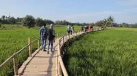 Menyambut Pagi Sembari Cuci Mata di Paloh Naga