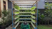 9 Ide Kebun Sayur Menguntungkan Pakai Sisa Uang THR, Bisa Dimulai dari Rumah