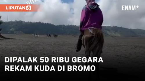 VIDEO: Rekam Kuda di Gunung Bromo, Wisatawan Dipalak 50 Ribu