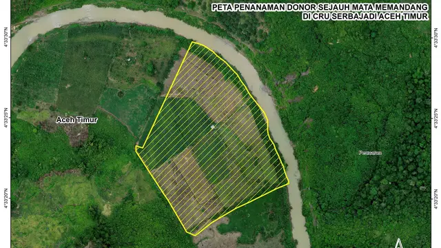 Sumbang Ribuan Pohon, Upaya Sejauh Mata Memandang Lindungi Kawasan Ekosistem Leuser