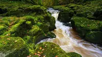 Sungai Strid yang sempit terlihat tenang dari permukaan, namun sesungguhnya, aliran bawahnya sanggup menarik manusia ke kematian.