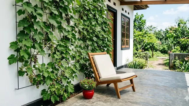 Model Teras Minimalis dengan Pohon Anggur Merambat di Dinding