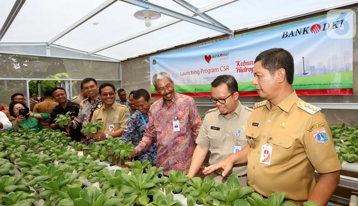 Bank DKI bekerjasama dengan Filantra juga melakukan sosialisasi, pelatihan dan pendampingan program kebun hidroponik kepada peserta dilingkungan Rusunawa dan telah terlaksana di Rusunawa Jatinegara Kaum & Jatirawasari. (Liputan6.com/HO/Budi) 