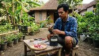 Cara Stek Alpukat dengan Bawang Merah agar Cepat Tumbuh, Ini Langkah-Langkahnya