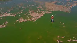 Seorang pria mencari ikan yang masih hidup untuk dimakan saat ribuan ikan mati menumpuk di tepi Sungai Salado, Provinsi Buenos Aires, Argentina, 22 Januari 2023. (AP Photo/Natacha Pisarenko)