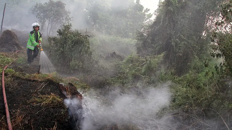 kebakaran hutan Jambi