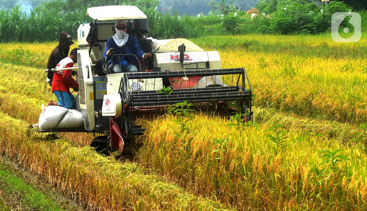 Petani memanen padi jenis IR 54 menggunakan mesin produk China di Galuh, Kulon Progo, Yogyakarta, Kamis (2/2/2020). Mesin yang disewa seharga Rp 500 ribu untuk memanen padi seluas 1.400 meter persegi itu mengefisienkan waktu, tenaga, dan modal dibandingkan tenaga manusia. (merdeka.com/Arie Basuki)