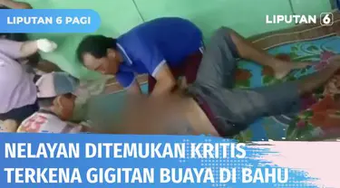 Dua nelayan diterkam buaya saat sedang mencari ikan di Sungai Sidang, Lampung. Pencarian oleh puluhan nelayan membuahkan hasil. Satu korban ditemukan dalam kondisi kritis dengan luka gigitan di bahu. Sementara satu korban masih dalam pencarian.