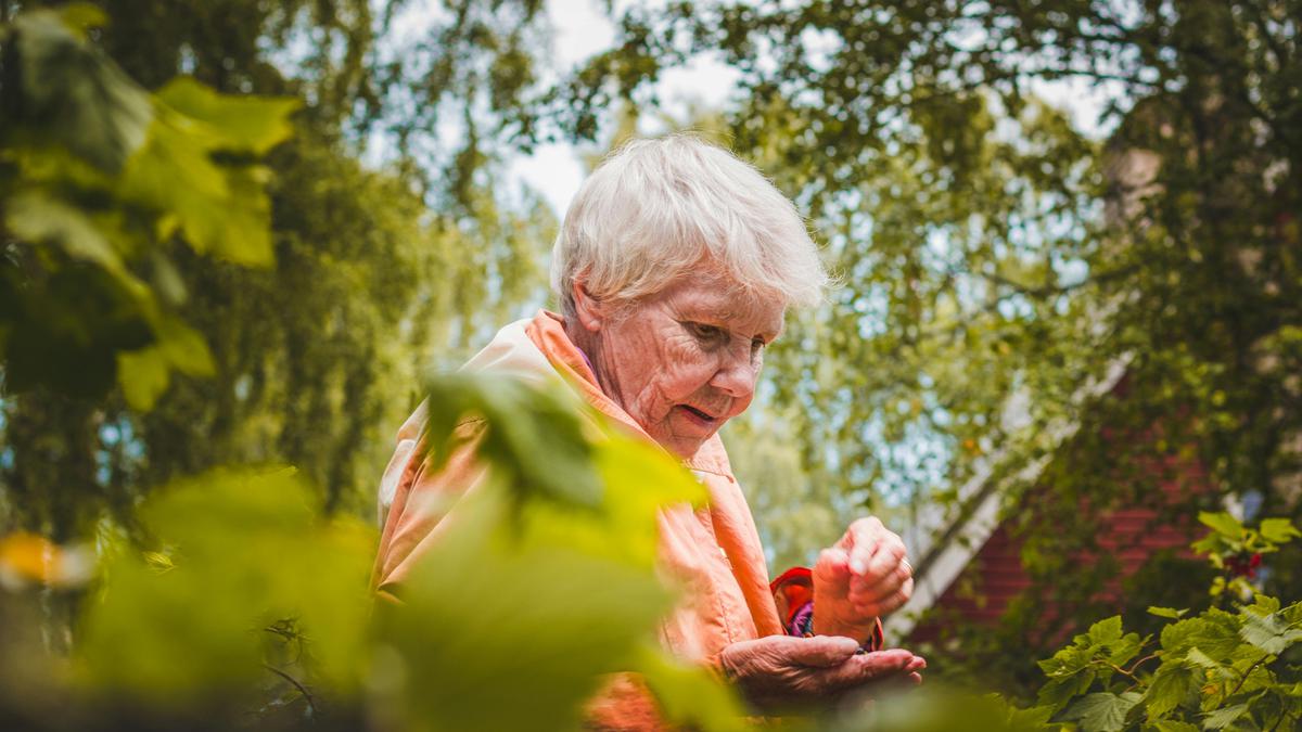 5 Alasan Berkebun Bisa jadi Aktivitas Terbaik untuk Lanjut Usia