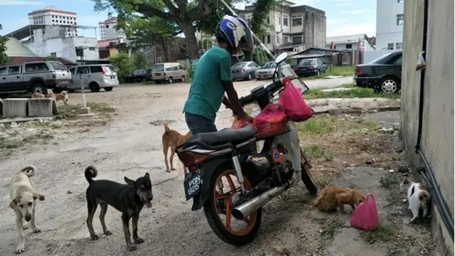 Salut, Tukang Parkir Ini Habiskan Lebih Dari Setengah Gajinya Untuk Beri Makan Hewan Liar