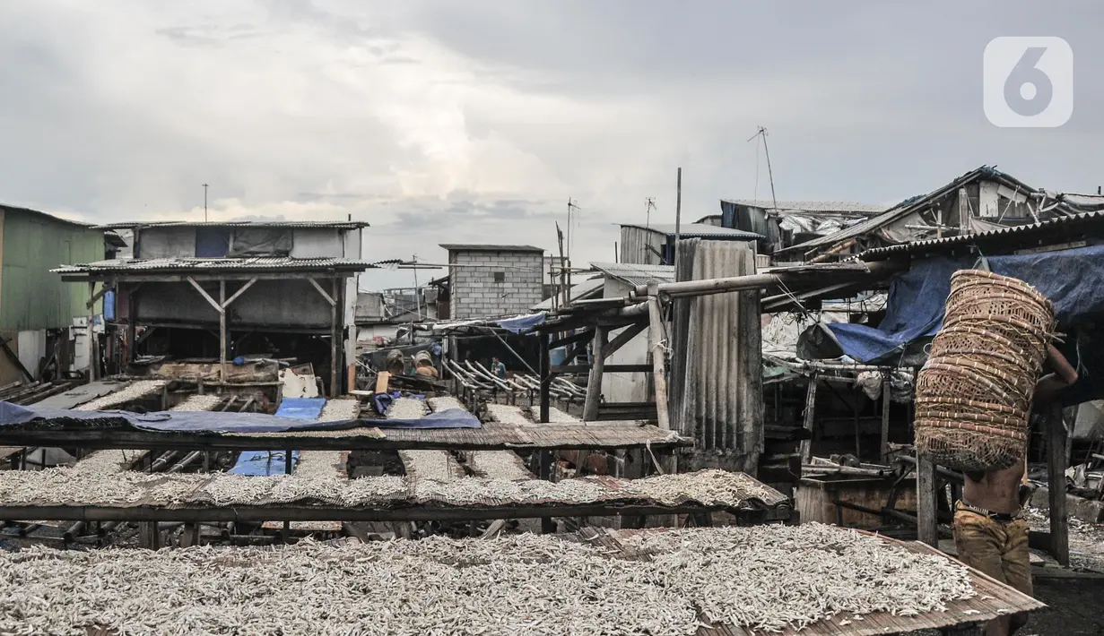 Pekerja saat menjemur ikan asin di kawasan pesisir Cilincing, Jakarta Utara, Minggu (12/6/2022). Saat ini harga ikan asin dijual Rp8.000 per kilogram dari sebelumnya Rp15.000 per kilogram. (merdeka.com/Iqbal S. Nugroho)