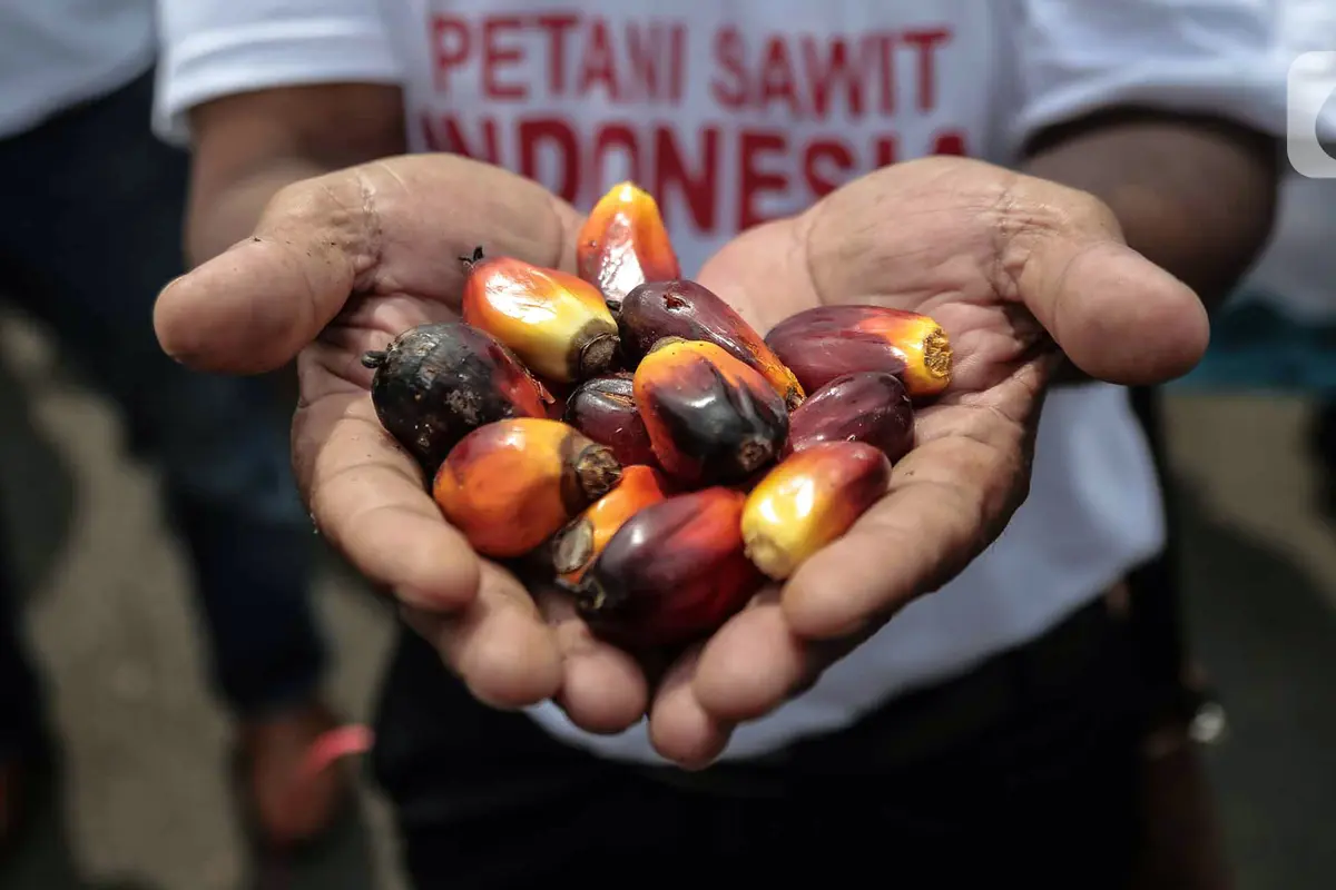 Unjuk Rasa Petani Kelapa Sawit Terkait Larangan Ekspor