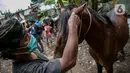 Pekerja memeriksa kuda delman sebelum diperiksa oleh dokter hewan KPKP di Jakarta, Kamis (4/2/2021). Kegiatan dilakukan untuk memberi bantuan pakan dan pemeriksaan kesehatan serta pengambilan sampel. (Liputan6.com/Faizal Fanani)