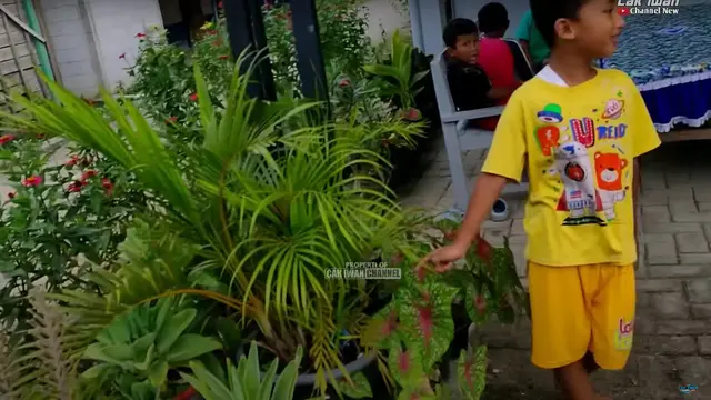 Potret Teras Rumah Sederhana Pratama Arhan di Desa, Sederhana Namun Penuh Kehangatan