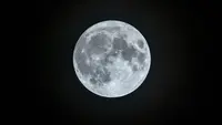 Apa Itu Hunter's Moon? Kenali Asal-usul Bulan Pemburu dan Waktu Terbaik Melihatnya