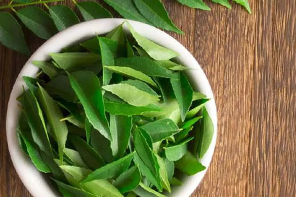 Manfaat daun salam untuk rambut
