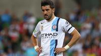 David Villa (FSSTA)