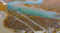Foto dari udara yang diabadikan pada 22 Oktober 2020 ini menunjukkan pemandangan musim gugur hutan poplar gurun (populus euphratica) di sepanjang Sungai Tarim di Wilayah Xayar, Daerah Otonom Uighur Xinjiang, China barat laut. (Xinhua/Hu Huhu)