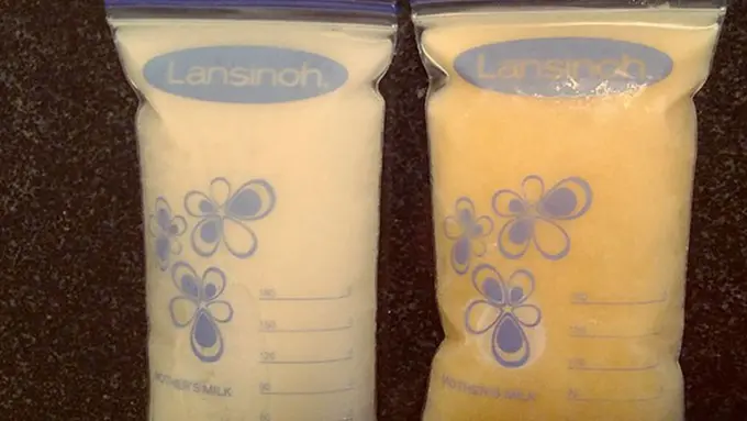 copyright by boredpanda.com