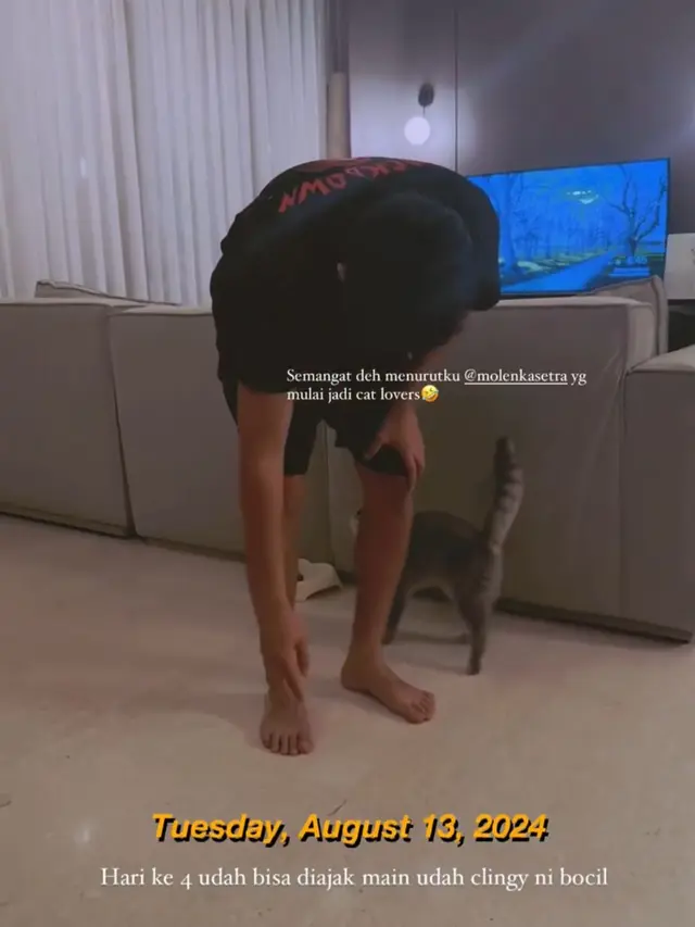 Momen Enzy Storia dan Molen Kasetra membagikan cerita manis bersama seekor kucing betina jenis Scottish Fold bernama Phoebe (Instagram/@enzystoria)