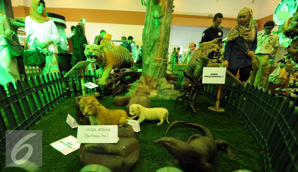 Beberapa koleksi hewan buas yang diawetkan dipamerkan di areal Mini Zoo Pekan Lingkungan Hidup Kehutanan 2016 di JCC Jakarta, Kamis (9/6/2016). Mini Zoo menampilkan beberapa koleksi hewanreptil dan unggas. (Liputan6.com/Helmi Fithriansyah)