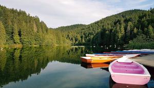 Kebahagiaan yang juga datang dari kemampuan beristirahat tanpa rasa bersalah/copyright pexels Cristina Şopandă