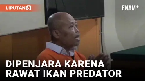 VIDEO: Pelihara 8 Ikan Predator, Kakek di Malang Dipenjara