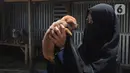 Pecinta hewan Hesti Sutrisno menggendong anjing-anjing liar peliharaannya di rumah penampungan sementara Green House, Tenjolaya, Bogor, Jawa Barat, Minggu (14/3/2021). Biaya pakan dan kesehatan anjing-anjing tersebut Hesti kumpulkan dari hasil jualan keripik. (merdeka.com/Arie Basuki)