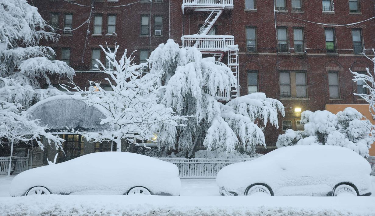 Dengan akumulasi total yang diprediksi menembus 30 hingga 60 sentimeter di sejumlah titik, otoritas setempat menyatakan bahwa kondisi perjalanan saat ini nyaris tidak mungkin dilakukan. Tampak dalam foto, mobil-mobil yang diparkir dan pepohonan di lingkungan Flatbush, distrik Brooklyn, Kota New York tertutup salju selama badai salju pada Senin 23 Februari 2026. (Michael M. Santiago/Getty Images North America/Getty Images via AFP)