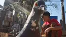 Seorang anak bermain dengan burung merpati di kawasan Tanah Abang, Jakarta, Selasa (23/7/2019). Pada peringatan Hari Anak Nasional yang jatuh 23 Juli, masih banyak anak-anak Indonesia yang belum dapat memiliki ruang bermain layak. (Liputan6.com/Immanuel Antonius)