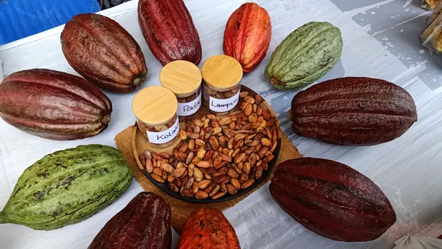 Sabun Cuci Piring dari Kulit Buah Cokelat