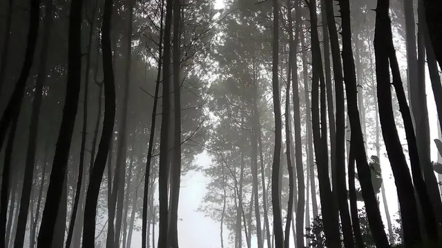 12 Wisata Kota Bandung yang Terbaru dan Hits, Pesona Alamnya Mengagumkan