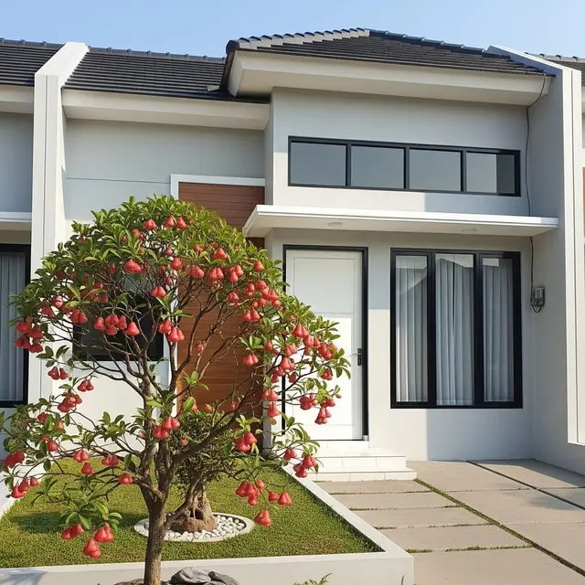 Pohon Buah Mini Ini Bikin Depan Rumah Minimalis Type 45 (Image by Gemini AI)