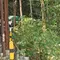 Jalan Penghubung Jember-Banyuwangi Retak 40 Meter, Lokasinya Dekat Jurang