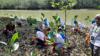 Penanaman Mangrove Saat Peringatan Hari Mangrove Dunia, Di Kabupaten Pandeglang, Banten. (Rabu, 26/07/2023). (Yandhi Deslatama/Liputan6.com).