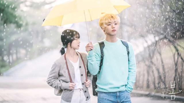 At A Distance Spring Is Green. (KBS via Soompi)