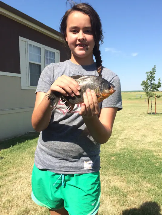 Kennedy Smith memperlihatkan ikan dengan gigi manusia yang ditangkapnya di kawasan Danau Fort Cobb, Oklahoma, 22 Juli 2018. Ikan bernama pacu itu habitat aslinya berada di Amerika Selatan. (Tyler Howser/Oklahoma Department of Wildlife Services via AP)