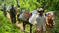 Beberapa hari menjelang Pemilu 2014, logistik pemilu masih terus didistribusikan ke sejumlah daerah, termasuk ke tanah Papua.