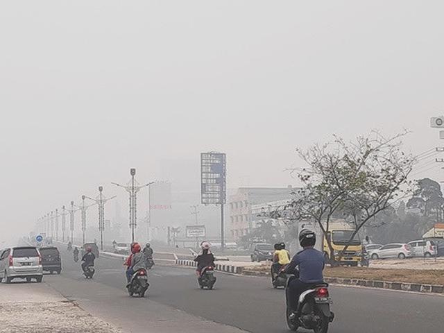 Riau Status Darurat Pencemaran Udara Karena Kabut Asap Regional Liputan6 Com