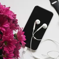 Ilustrasi Penggunaan Ponsel Credit: pexels.com/Jess