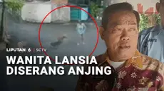 Seorang wanita lansia digigit kawanan anjing yang tiba-tiba lepas di Jakarta Timur. Korban diserang saat jalan kaki seorang diri.