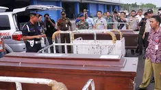 liputan6
