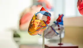 Alat Pacu Jantung Tanpa Kabel, Kenali Leadless Pacemaker