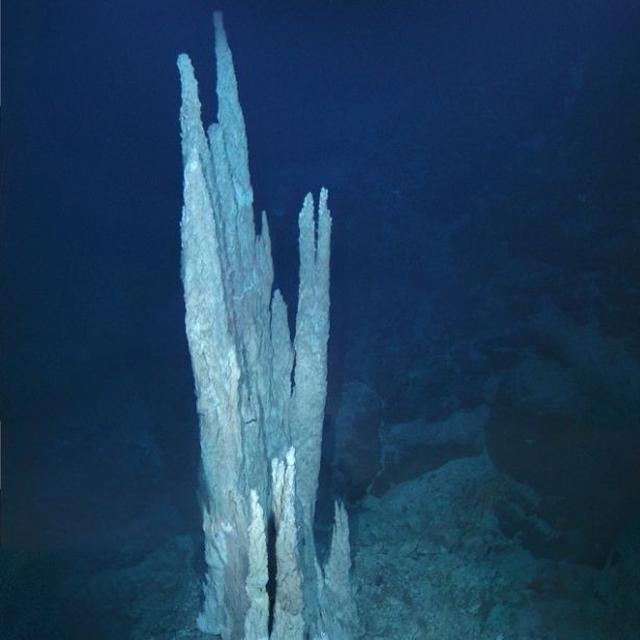 Ilustrasi Kehidupan Awal