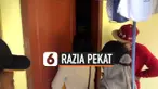 TV Pekat