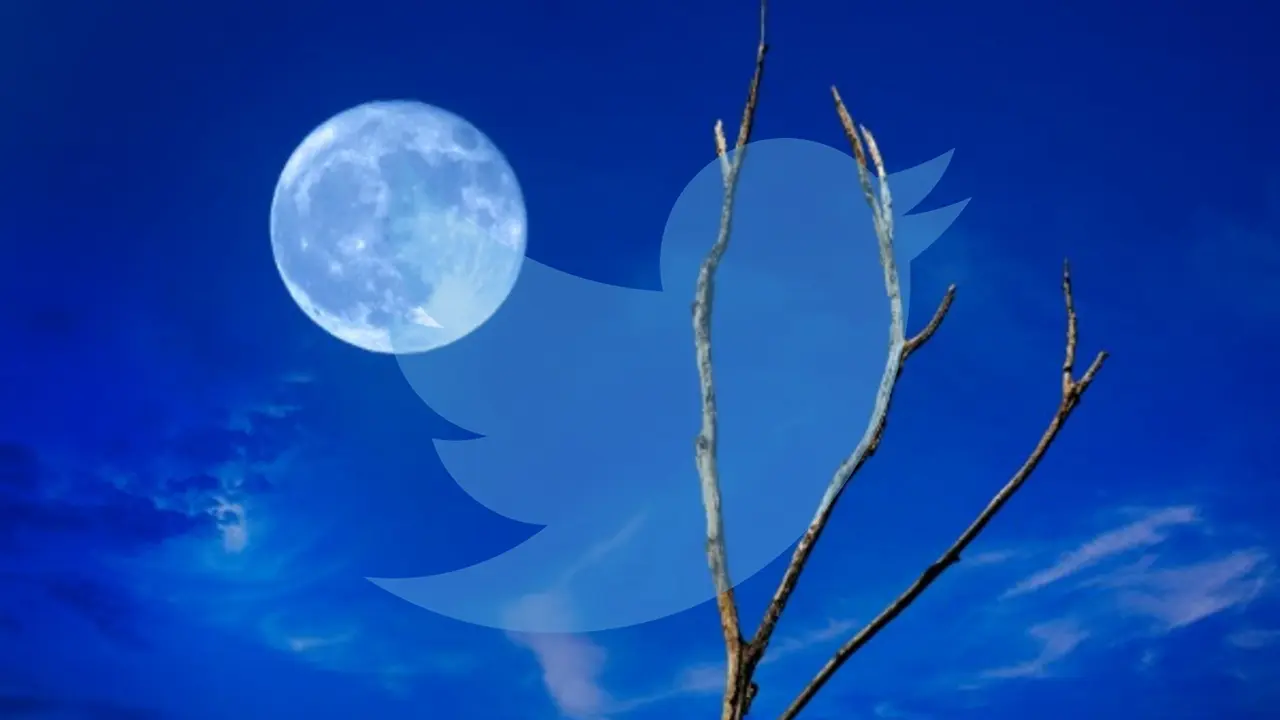 6 Tipe Orang Saat Ungkapkan Penyesalan Gagal Lihat Blue Moon