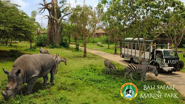 Bali Safari & Marine Park