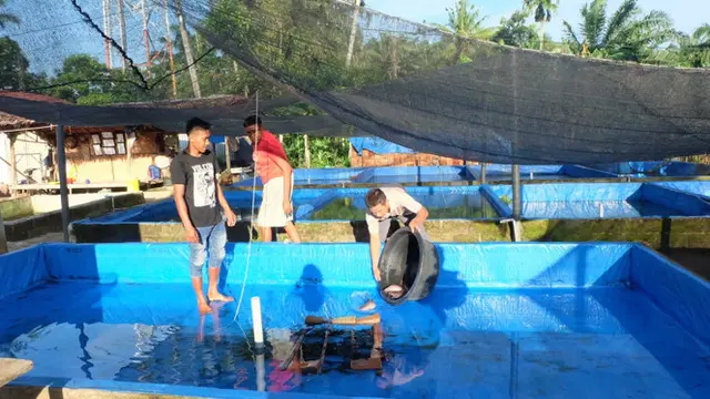 Kube Budidaya Ikan